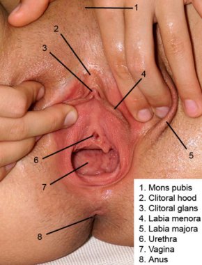 Massaging a vagina